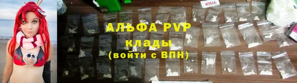 сатива Абинск