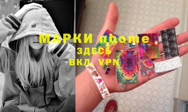 индика Весьегонск