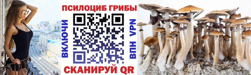 как найти закладки Моздок Галлюциногенные грибы GOLDEN TEACHER
